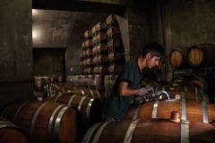 Un trabajador cambia las barricas. La vida media de una barrica es de aproximadamente tres años y el cambio es necesario en cuanto la madera ha cedido todos sus aromas. La barrica es una herramienta para afinar el vino: el objetivo es aumentar la calidad del vino favoreciendo su estabilización natural, alcanzando el máximo equilibrio aromático y gustativo. Durante la fase de afinado, la barrica ayuda a estabilizar el color y, con la fragancia de la madera, favorece el complejo olfativo del vino, impartiendo una serie de aromas. Foto: Karl Mancini