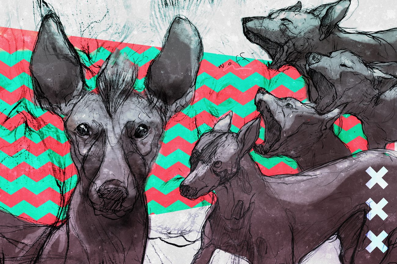 Ilustración: Carlos Lerma