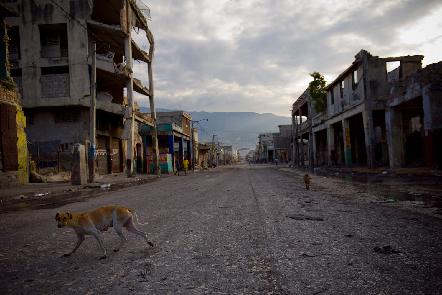 Un perro deambula en una calle vacía en Puerto Príncipe. Foto: Alejandro Saldívar