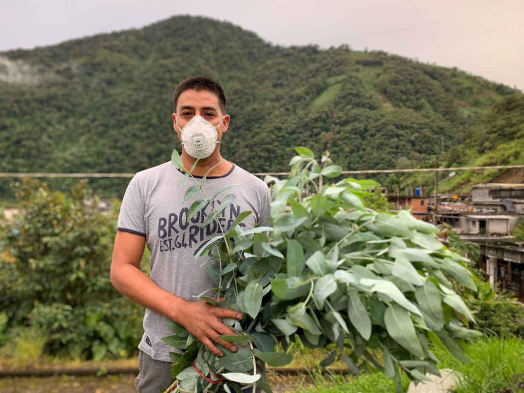 Juan Carlos Barrionuevo, residente de la parroquia Río Verde, lleva eucalipto a su familia para realizar vaporizaciones. Foto: Dominique Riofrio