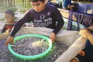La pesca de la manjúa es una pesquería familiar, en la que participan desde los hijos pequeños hasta los abuelos y adultos mayores. Foto: Jorge Rodríguez