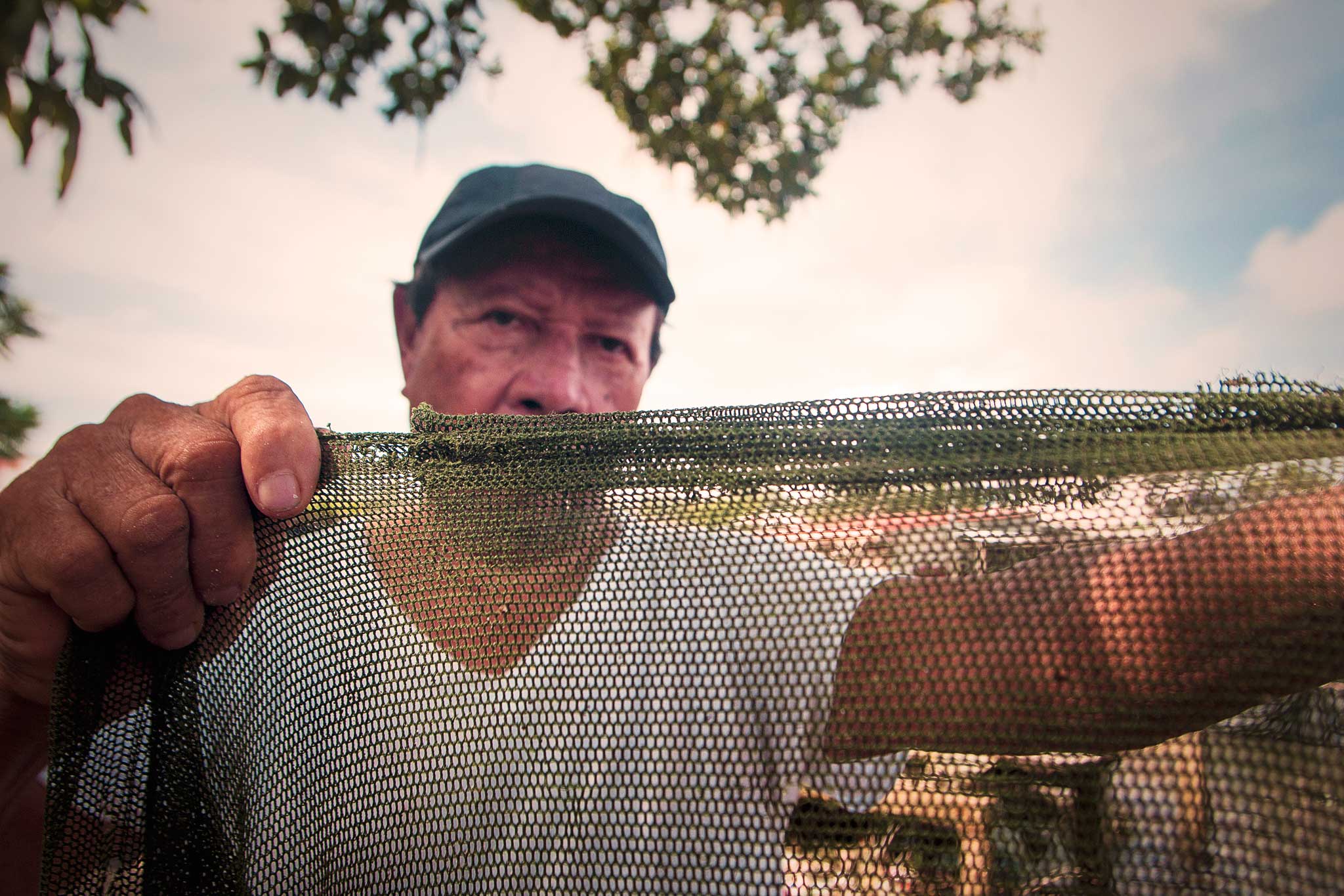 César Aguilar, uno de los “sardineros originales”, muestra una red típica para la pesca de la manjúa, cuya luz de malla pone en riesgo la sobrevivencia de hasta 60 otras especies acompañantes de la manjúa. Foto: Jorge Rodriguez