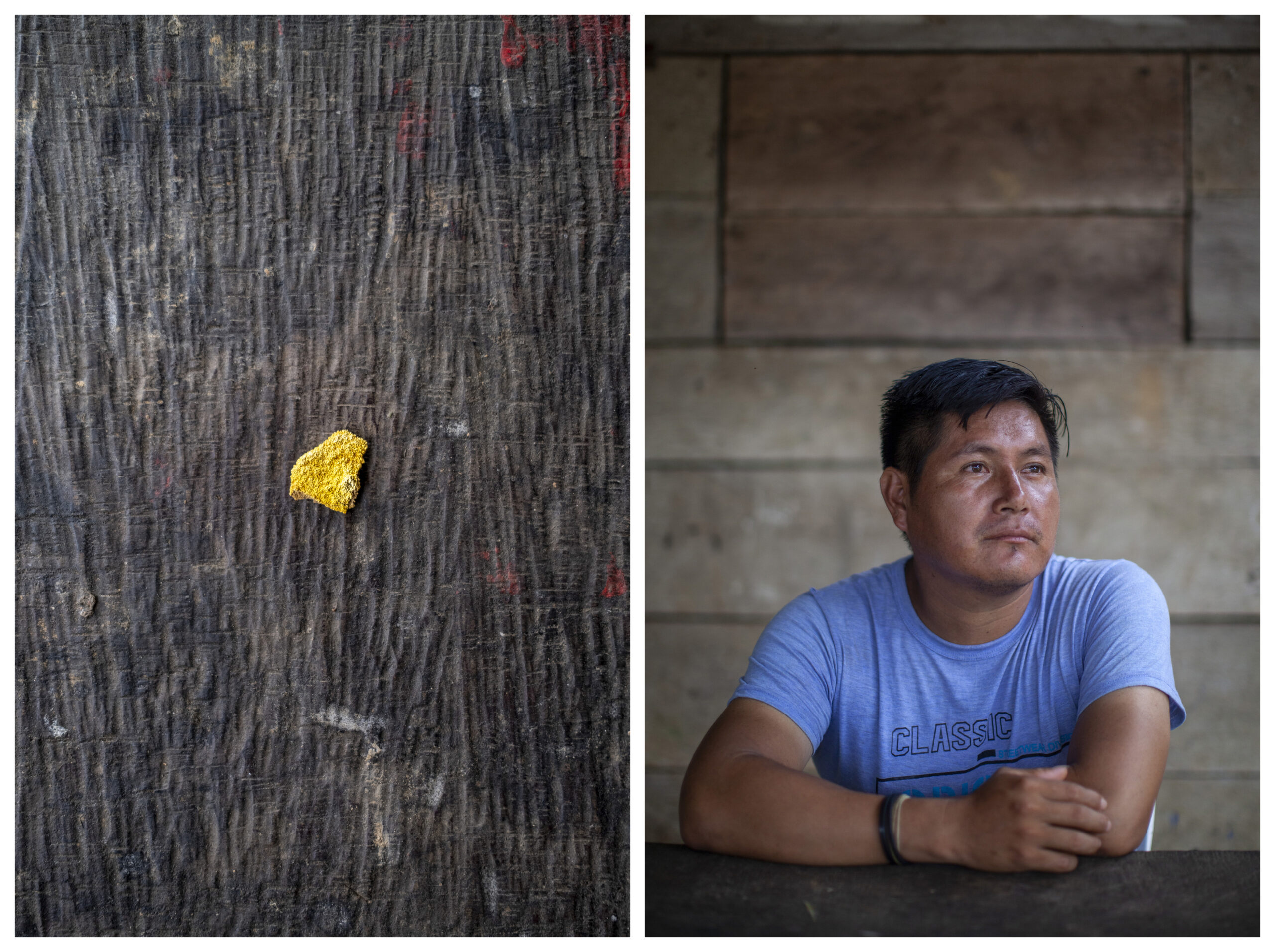 A la izquierda, una pepita de oro; a la derecha, Larri Ihuizi Keontehuari, presidente de la comunidad Harakmbut de Puerto Luz. Fotos: Alejandro Saldívar