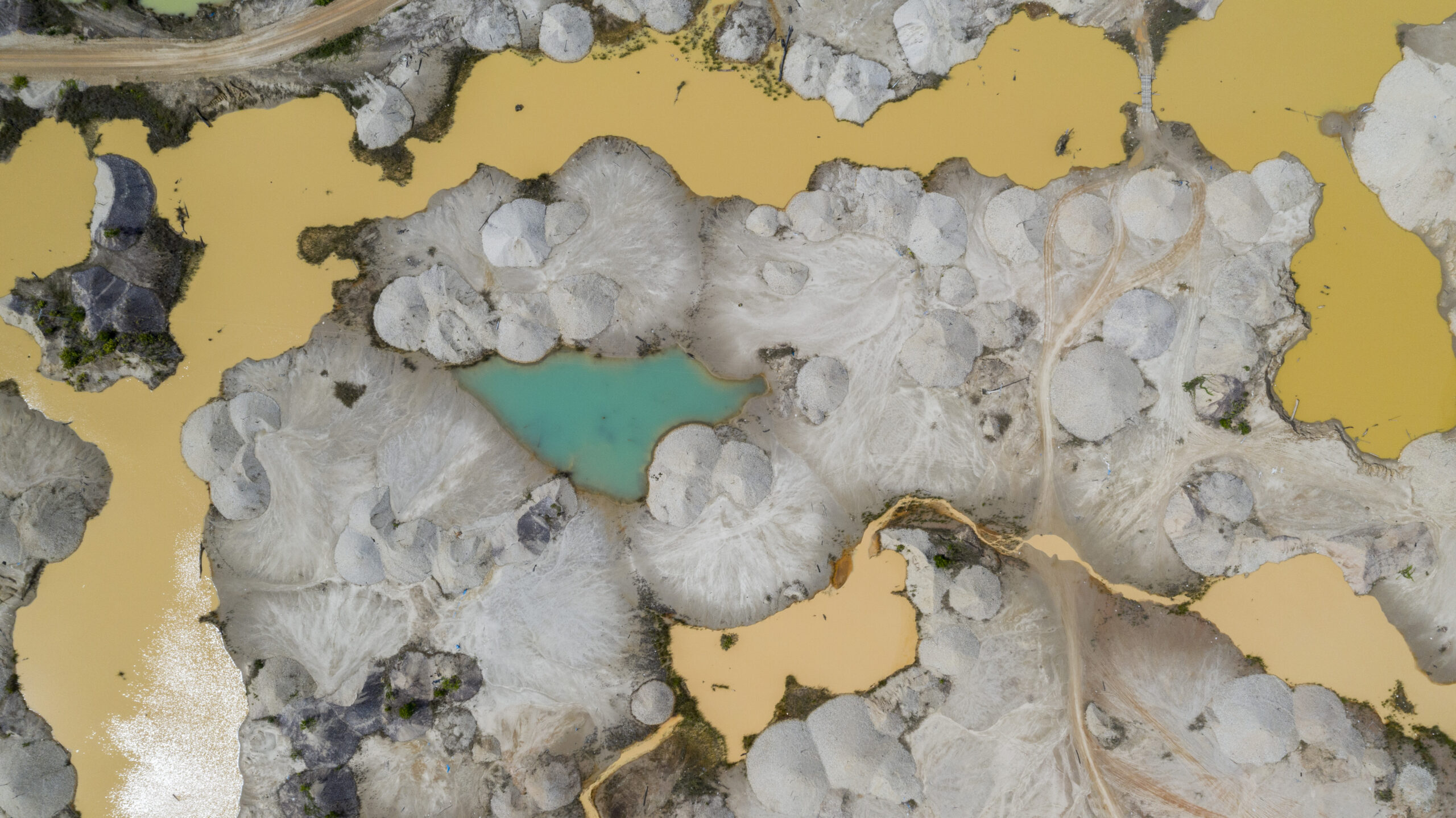 Presencia de cianobacterias (algas verdeazuladas) que producen toxinas que pueden enfermar a las personas y los animales, a pocos kilómetros de Delta 1, en la reserva comunal Amarakaeri, Madre de Dios, Perú. Foto: Alejandro Saldívar