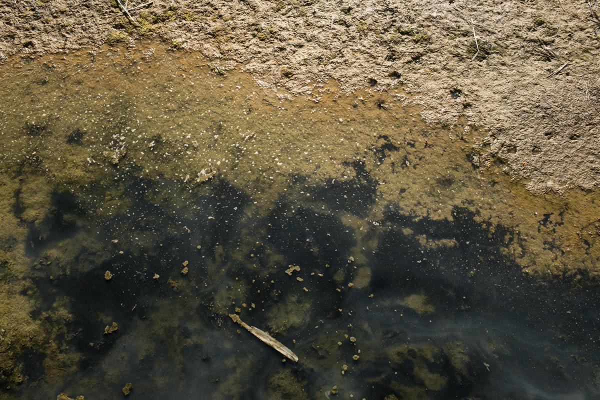 Agua con fango negro en la orilla de Los Urrutias. Foto: Ana Valiño