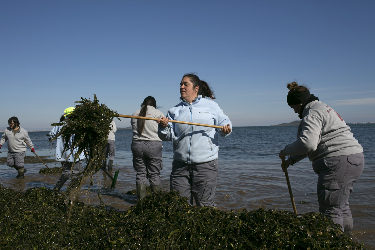 Un grupo de trabajadoras recoge algas de la playa. Foto: Ana Valiño