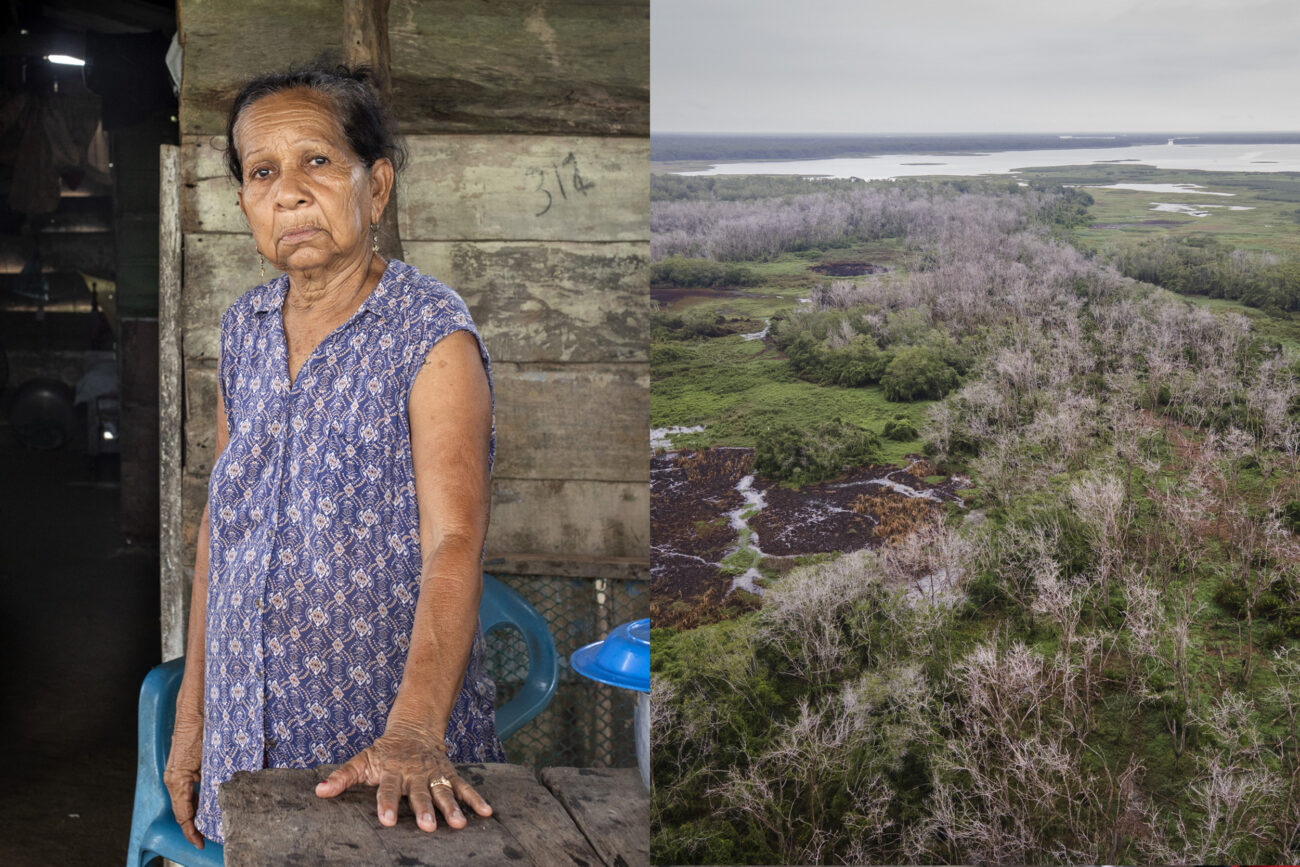 Izquierda: Dora Garizábalo dice: Bocas de Cataca existe porque resiste. Derecha: manglares agonizantes a punto de caer por la sedimentación del suelo en la Ciénaga Grande de Santa Marta. Foto: Pau Coll / Ruido Photo