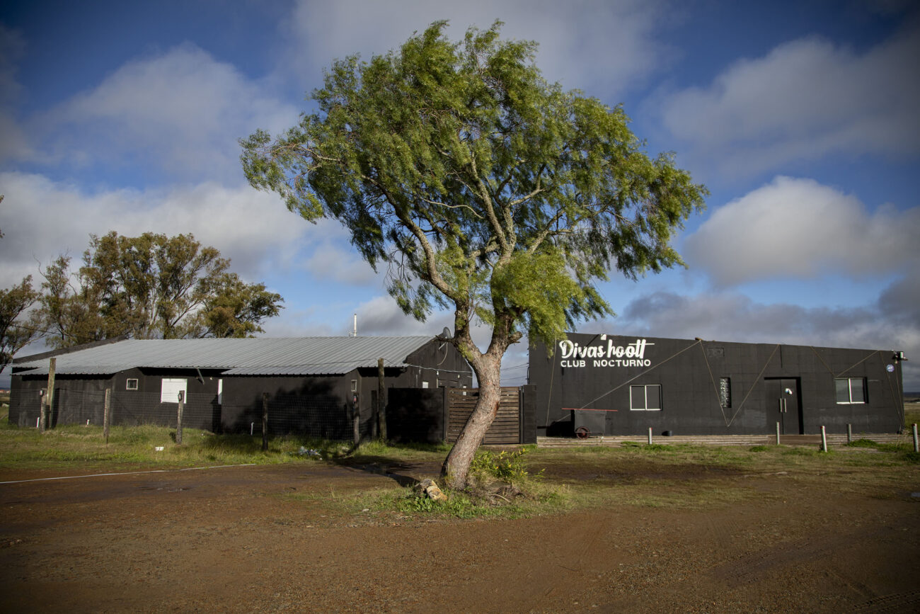 Árbol nativo frente a la entrada del club nocturno “Divas Hoott”. Foto: Dahian Cifuentes