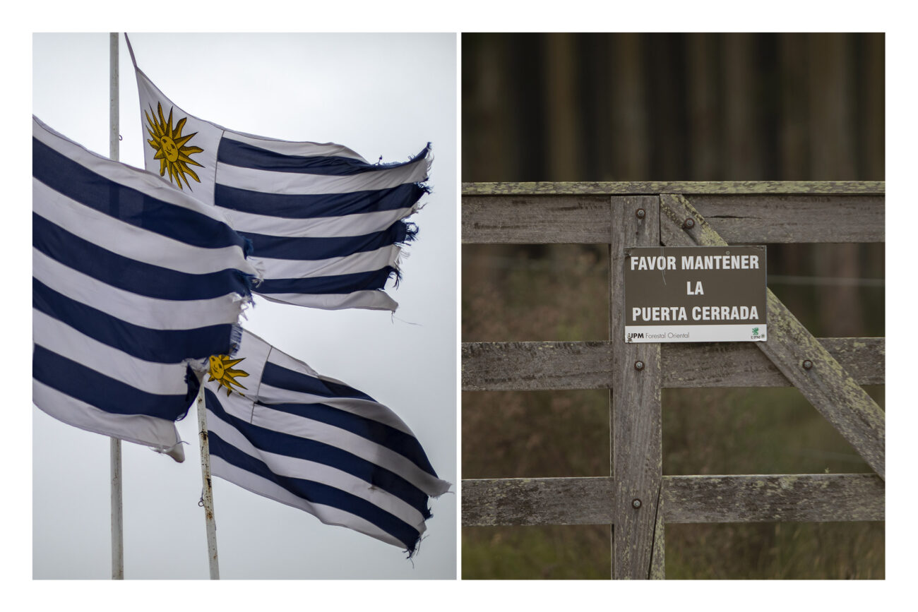 Izquierda: Banderas uruguayas en Paso de los Toros, Tacuarembó, Uruguay. Derecha: Puerta cerrada de una de las plantaciones de UPM a las afueras de Guichón vía Piñera, Paysandú, Uruguay. Fotos: Dahian Cifuentes