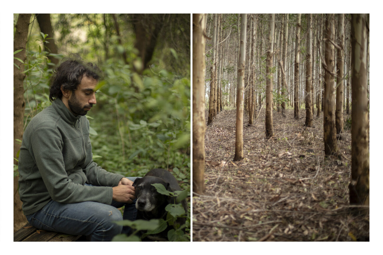 Izquierda: Daniel Pena en un pequeño bosque de árboles nativos cerca a su casa a las afueras de Montevideo: “La pastura natural en el Uruguay es como la selva amazónica en Brasil, se está sustituyendo eso por un monocultivo de un árbol de crecimiento muy rápido, que lo que hace es erosionar más el suelo, acidificarlo, pero, además, al absorber tanta agua afecta la capacidad de las cuencas” dice. Derecha: Pequeño bosque con plantaciones de eucalipto. Guichón, Paysandú, Uruguay. Fotos: Dahian Cifuentes