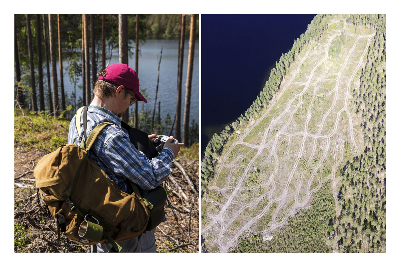 Heikki Härkönen (izquierda) saca su dron dentro del área de 14,6 hectáreas taladas por UPM en la isla de Rokansaari, al sureste de Finlandia (derecha). Según la ley finlandesa, la empresa no hizo nada ilegal, pero organizaciones ambientalistas destacan las consecuencias desastrosas de estas prácticas para la biodiversidad del País. Marta Saiz e imagen cedida por Heikki Härkönen.