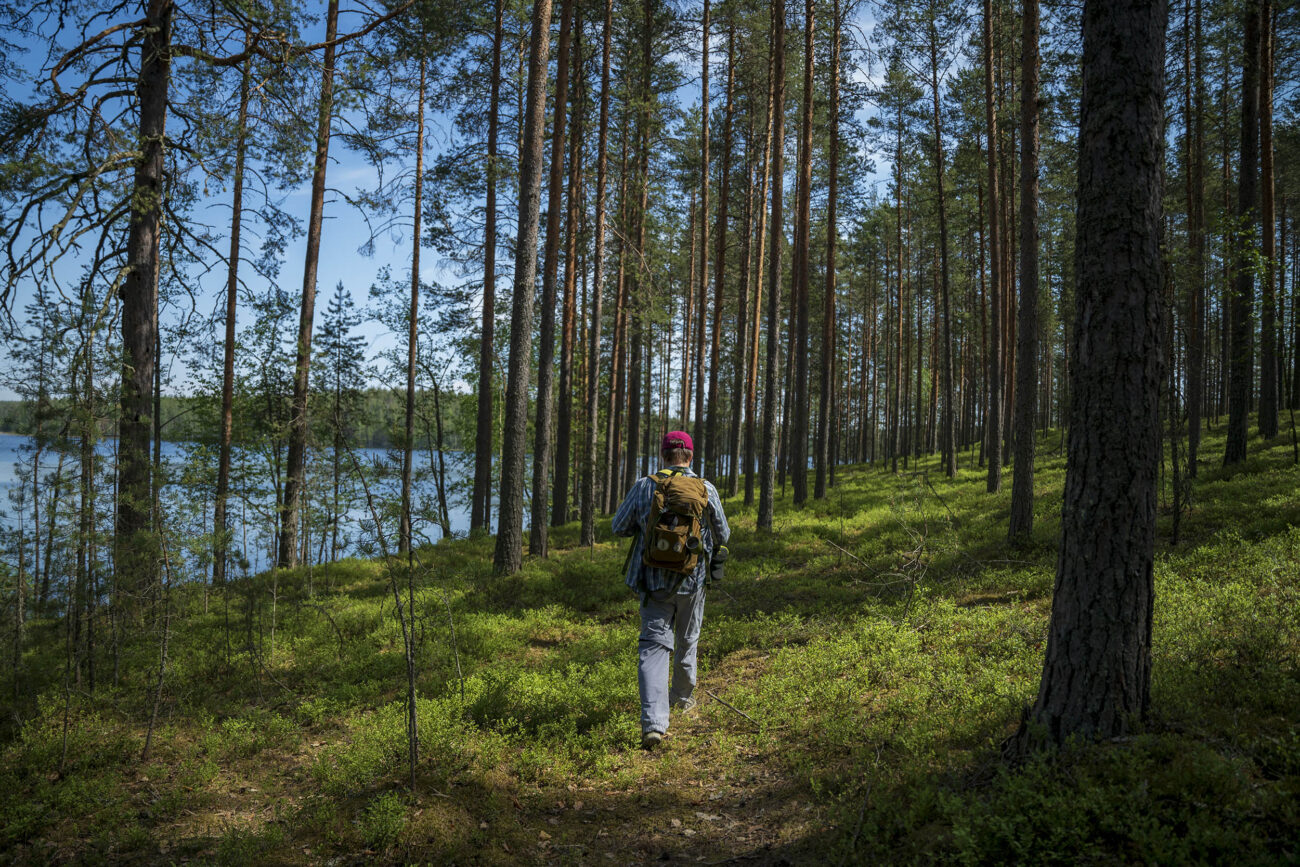 Para Heikki Härkönen, que camina bajo los árboles de la isla de Rokansaari, un lugar donde no vive nadie, el problema en Finlandia es que tienen una ley forestal deficiente con respecto a la protección medioambiental. Bernat Marrè