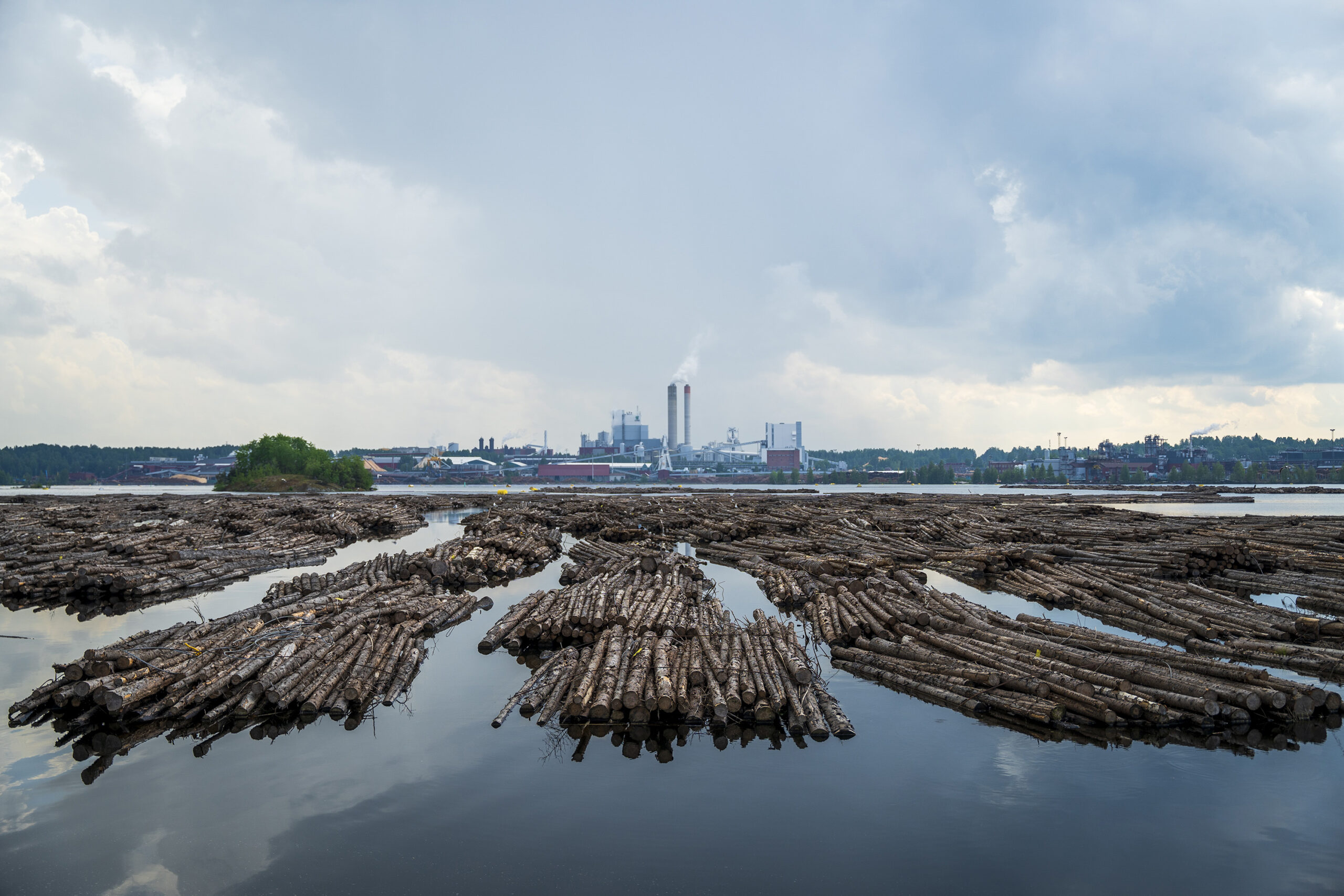 Centenares de troncos se apilan para ser enviados a la fábrica que la empresa finlandesa de UPM tiene en Kaukas, a 220 kilómetros de Helsinki, muy cerca de la frontera con Rusia. Foto: Bernat Marrè