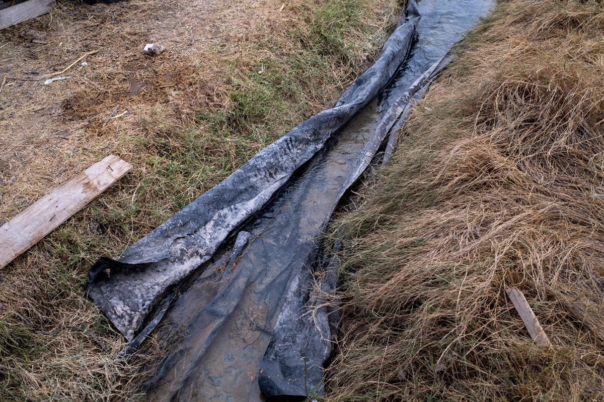Un canal improvisado para captar agua en el predio Las Palmas. Foto: Alejandro Saldívar