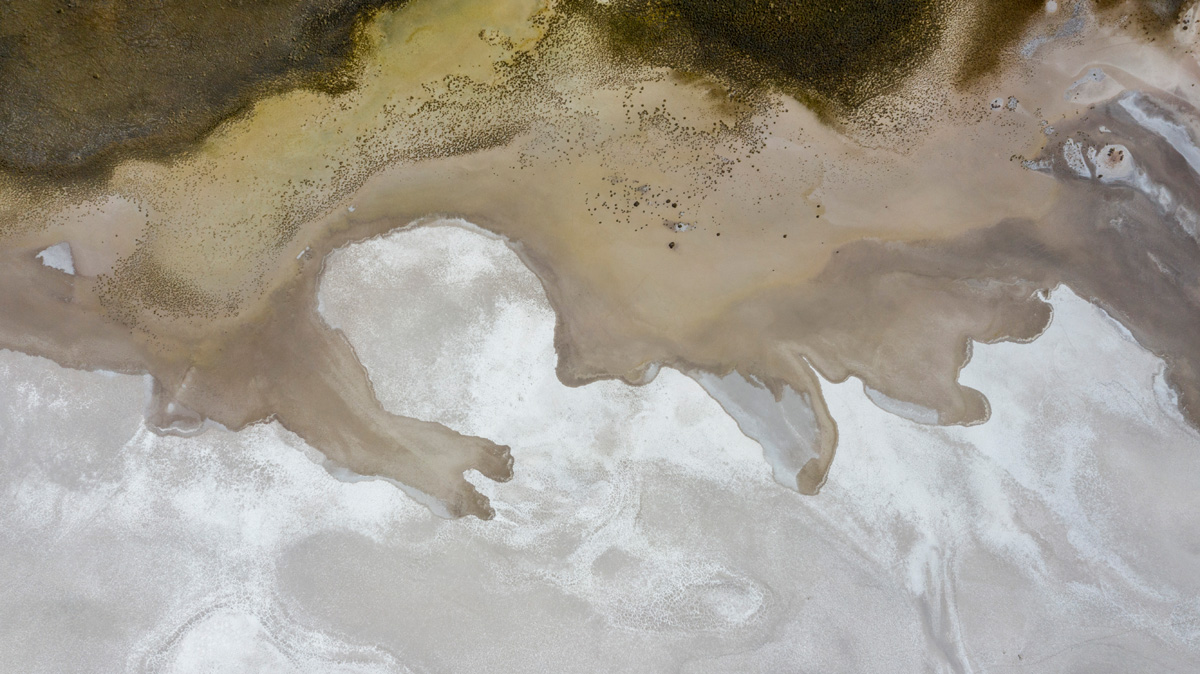 Sequía en el río Los Mezquites, en el desierto de Cuatro Ciénegas. Foto: Alejandro Saldívar