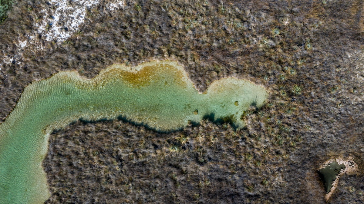 Contaminación en el río Mezquites, en el desierto de Cuatro Ciénegas. Foto: Alejandro Saldívar