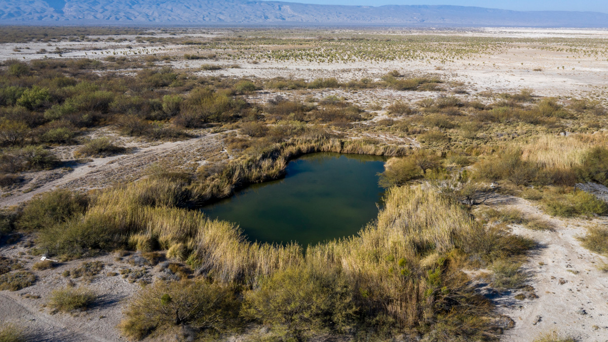 La laguna del Churince en el desierto de Cuatro Ciénegas. Foto: Alejandro Saldívar