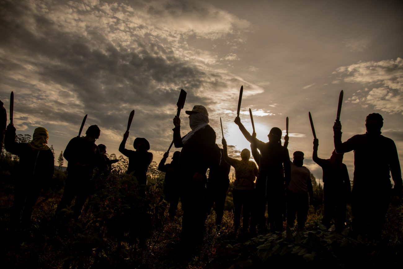 Minga organizada por la comunidad Nasa para tumbar las plantaciones de pino sembradas por Smurfit Westrock. Cajibío, Cauca, Colombia. Foto: Dahian Cifuentes