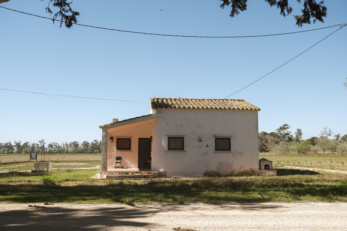 Una de las casas que prevalece en la Isla de Buda. Está ubicada en lo que era considerado el centro. Foto: Julián Zamora Mora